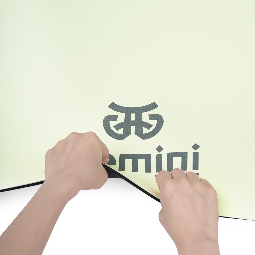 Gemini Sport variant image