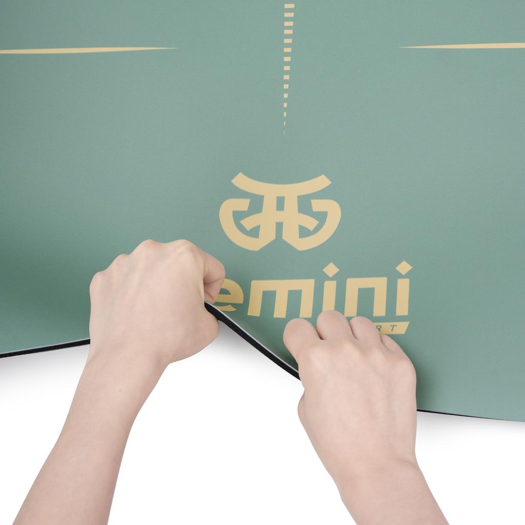 Gemini Sport variant image