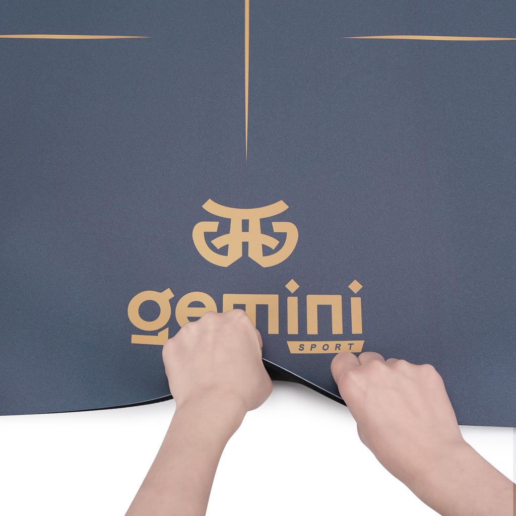 Gemini Sport variant image