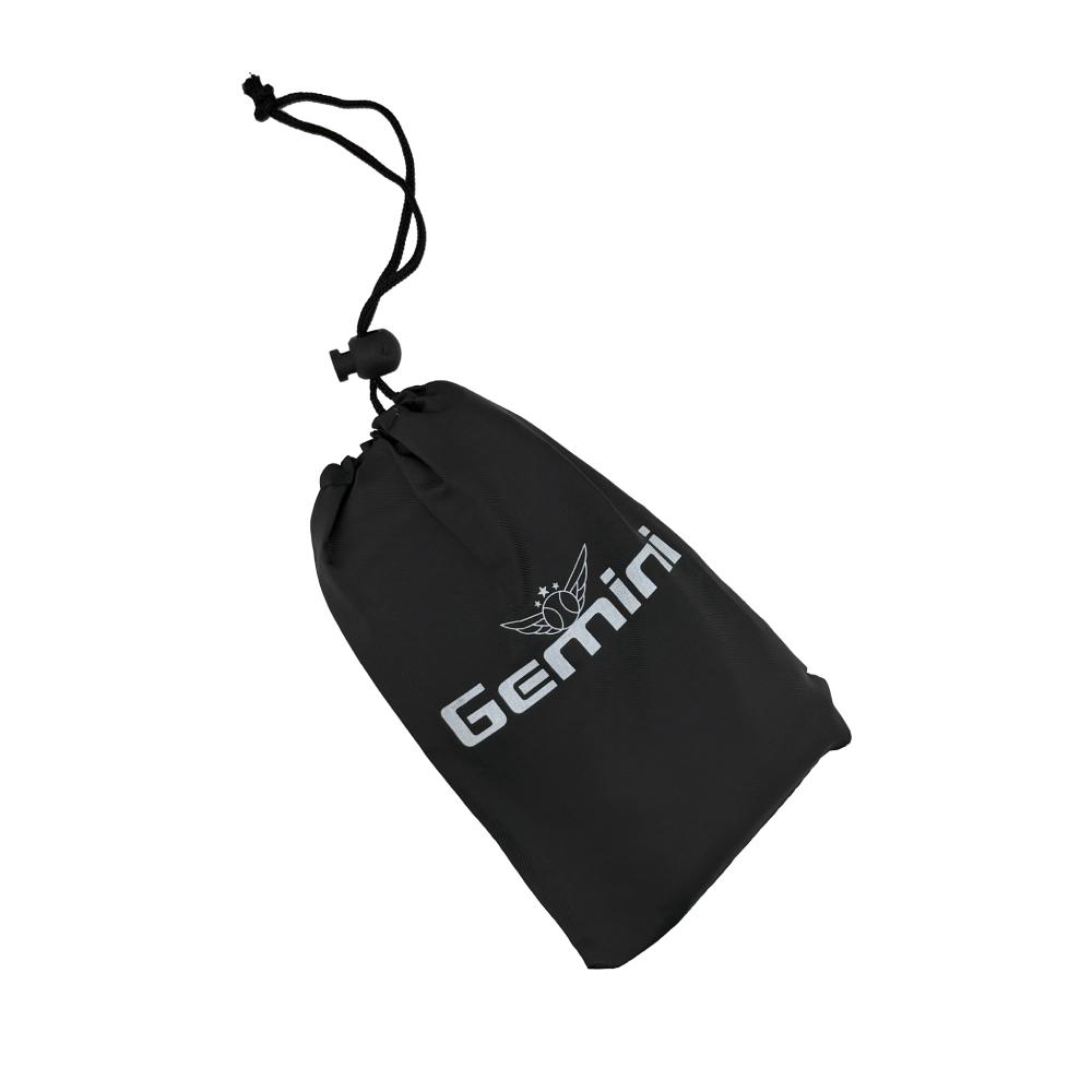 Gemini Sport variant image