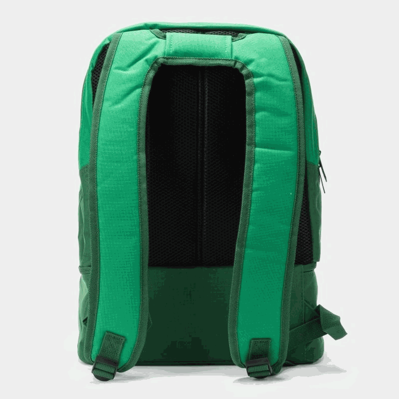 Gemini Sport variant image