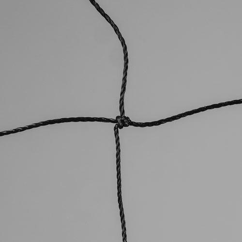 Gemini Sport variant image