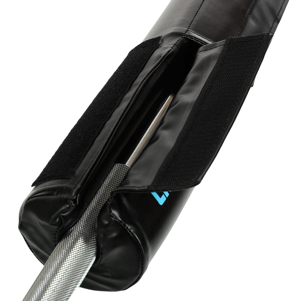 Gemini Sport variant image