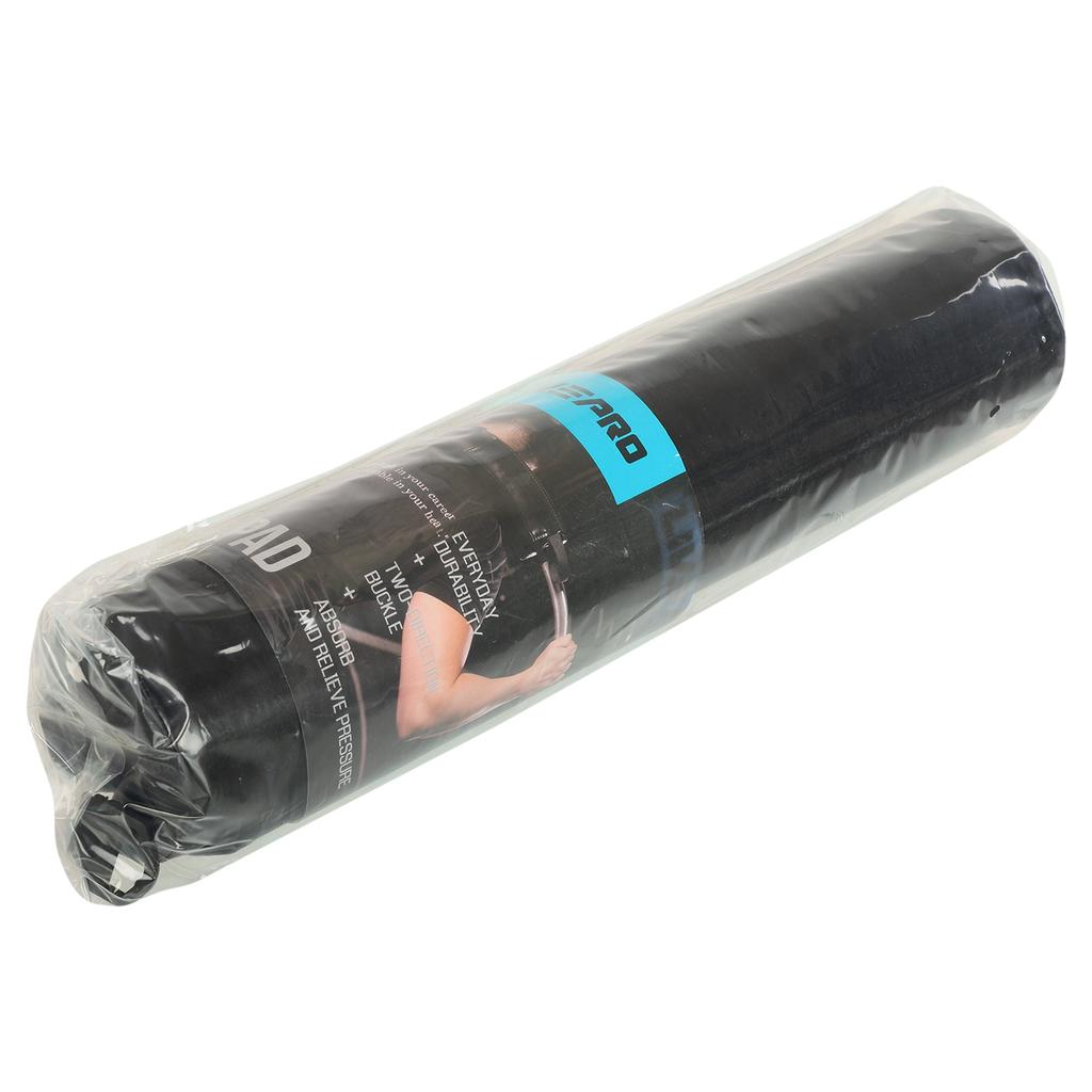 Gemini Sport variant image