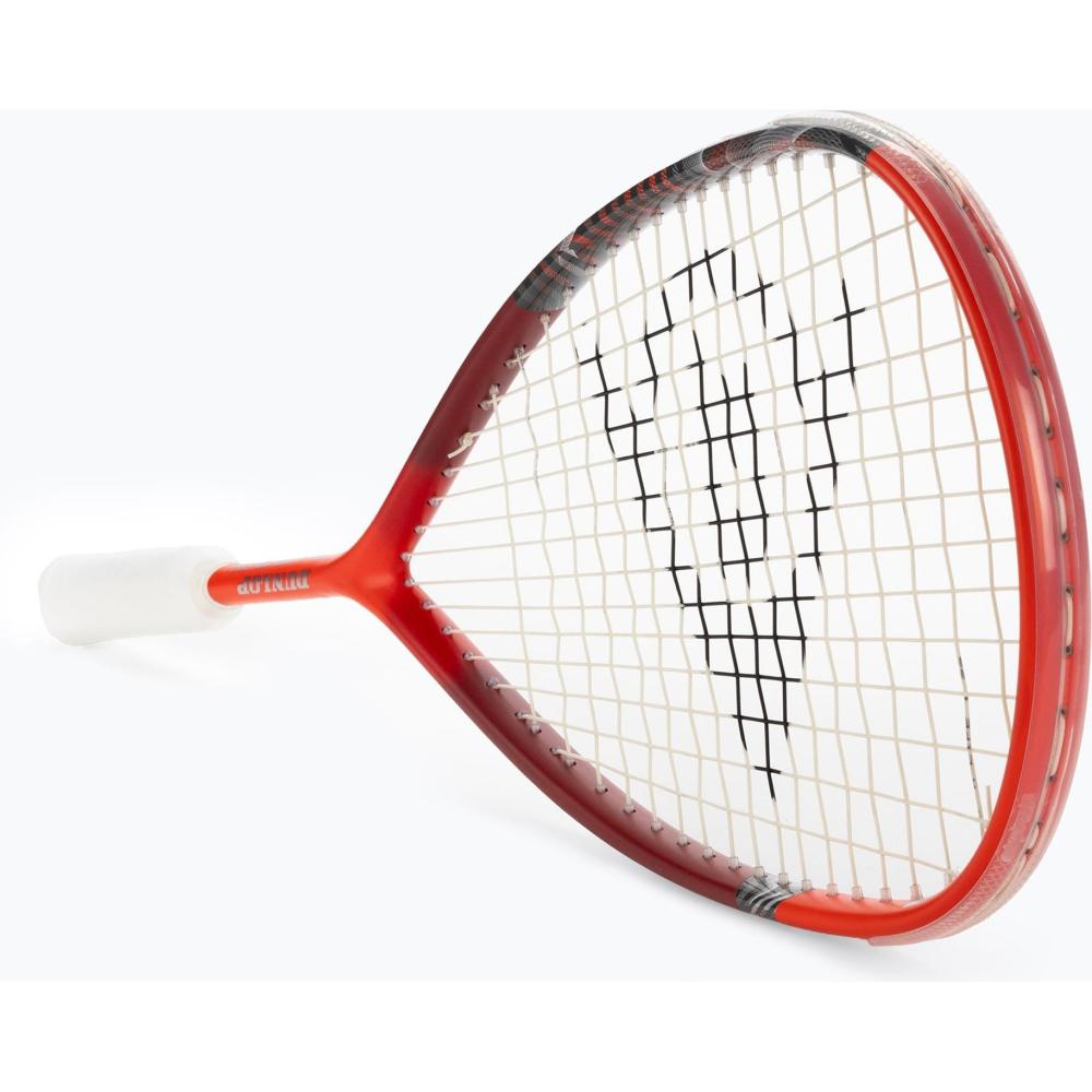 Gemini Sport variant image