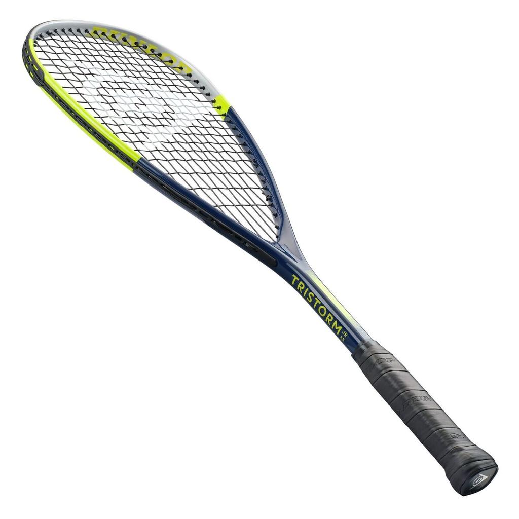 Gemini Sport variant image