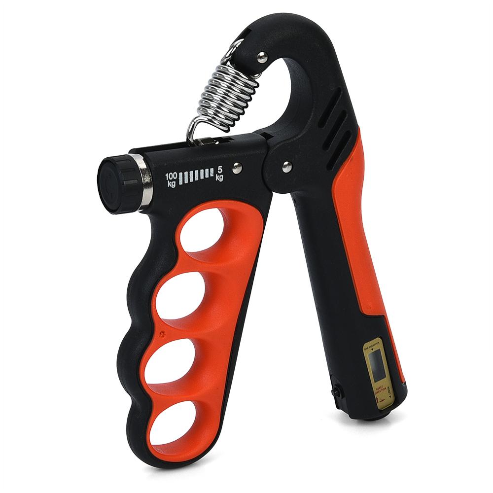 Gemini Sport variant image