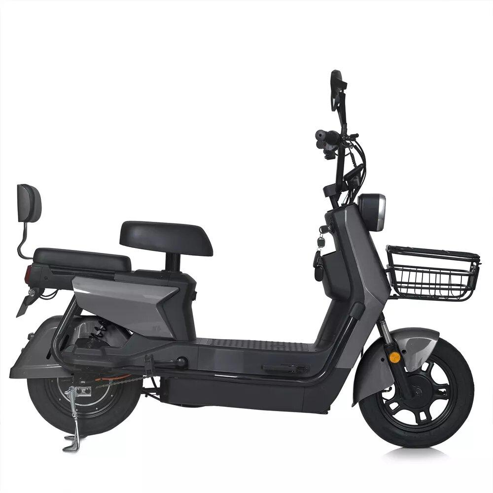 Gemini Sport variant image