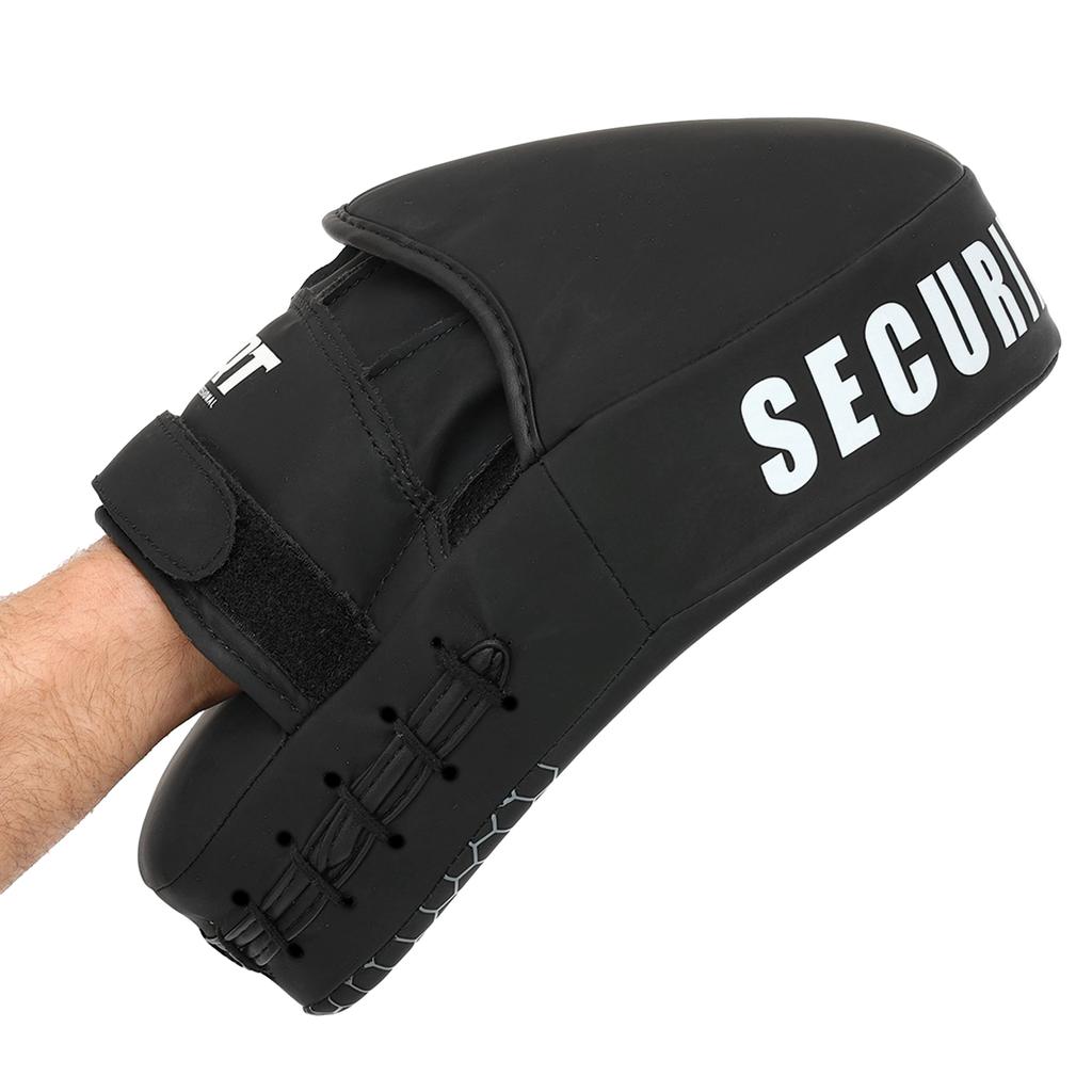 Gemini Sport variant image