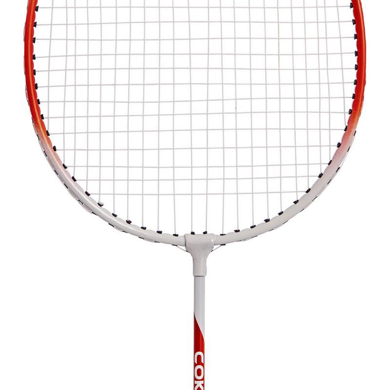Gemini Sport variant image