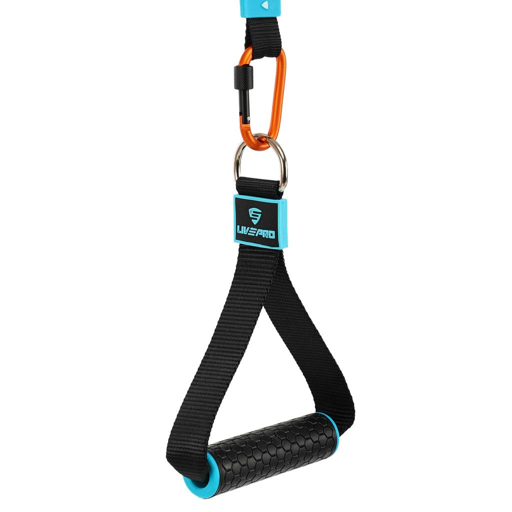 Gemini Sport variant image