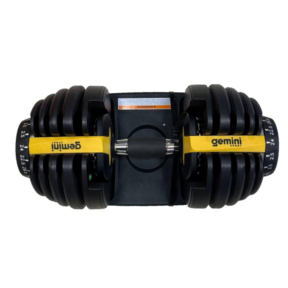 Gemini Sport variant image