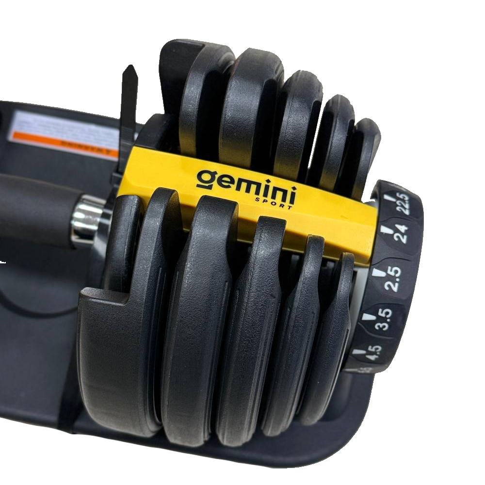 Gemini Sport variant image