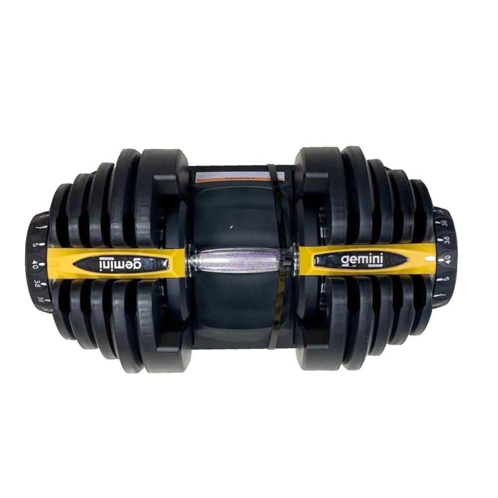Gemini Sport variant image