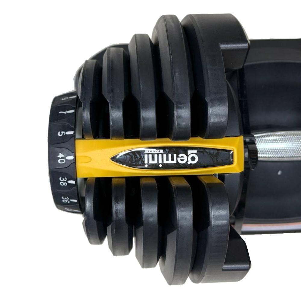 Gemini Sport variant image