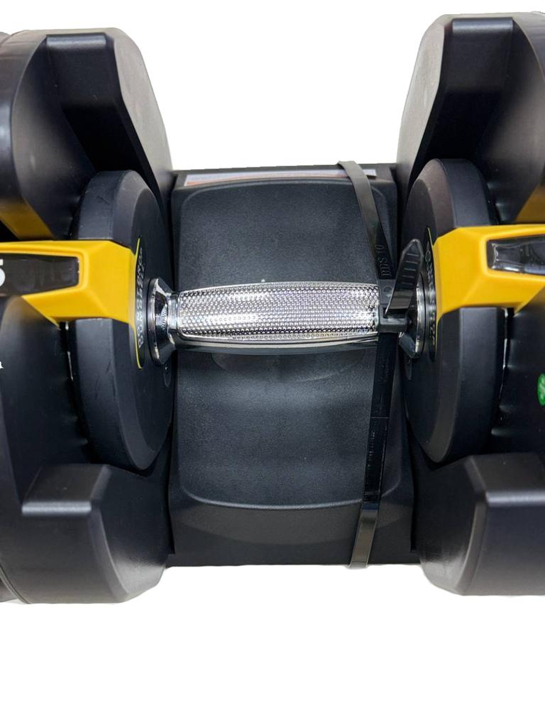 Gemini Sport variant image