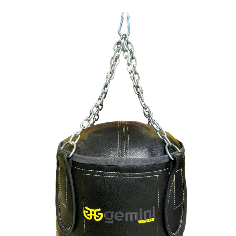 Gemini Sport variant image