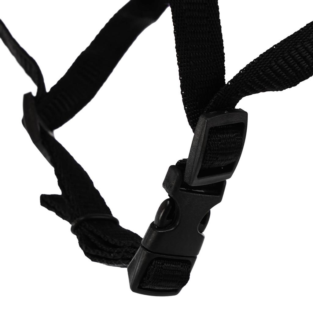 Gemini Sport variant image