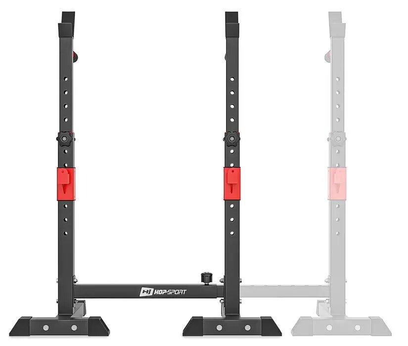 Gemini Sport variant image