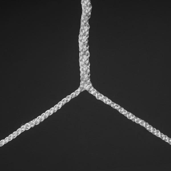 Gemini Sport variant image