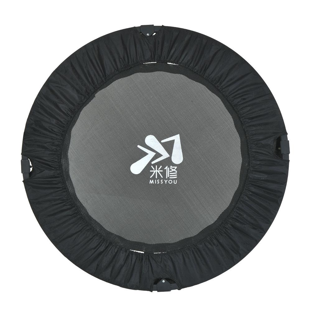 Gemini Sport variant image