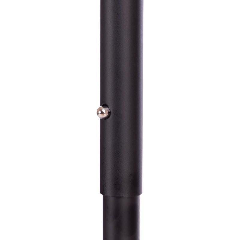 Gemini Sport variant image