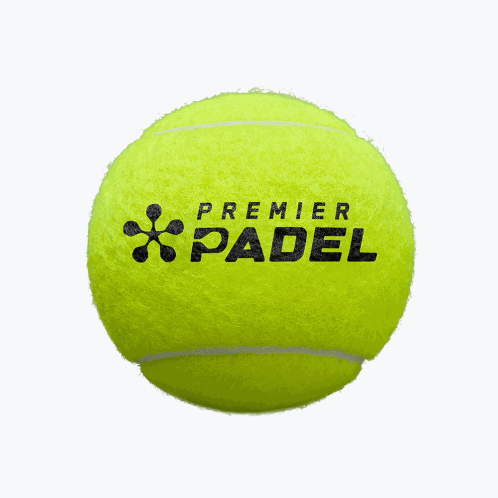Gemini Sport variant image