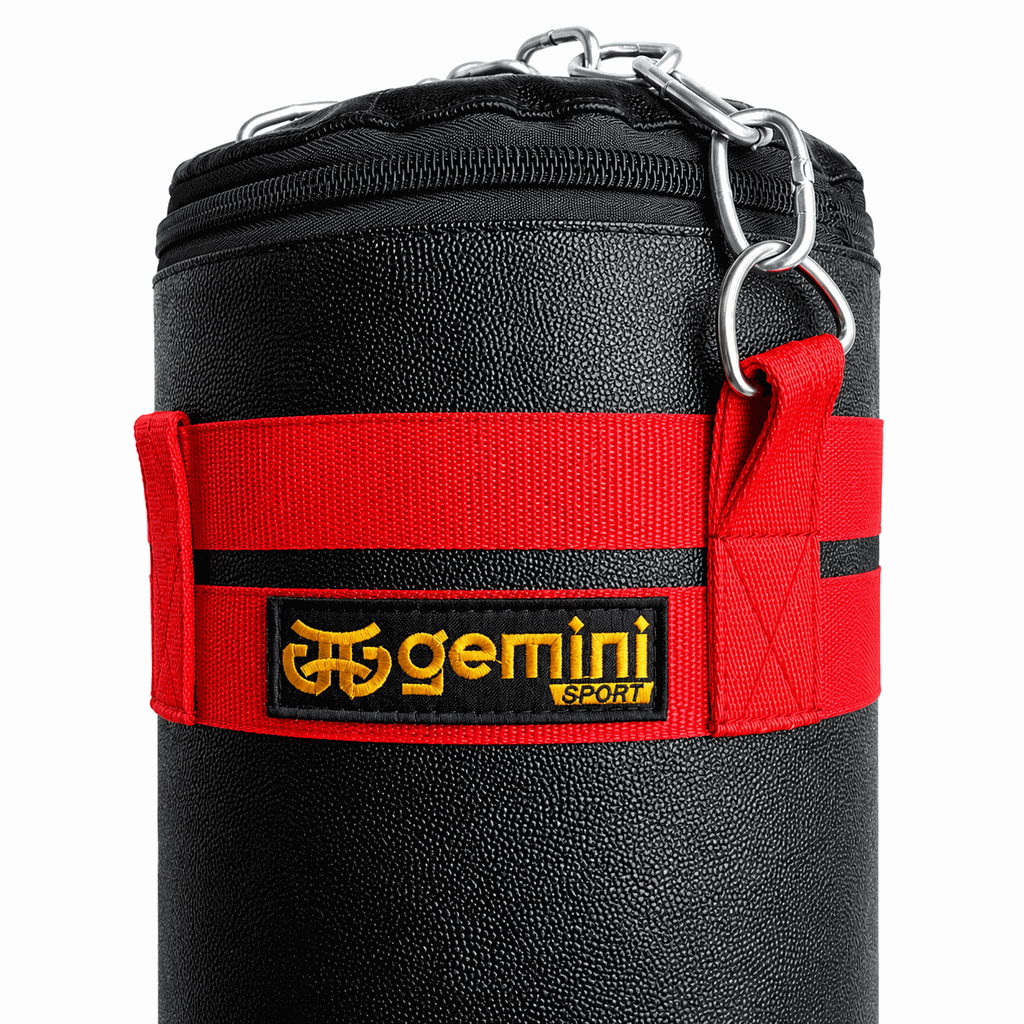 Gemini Sport variant image