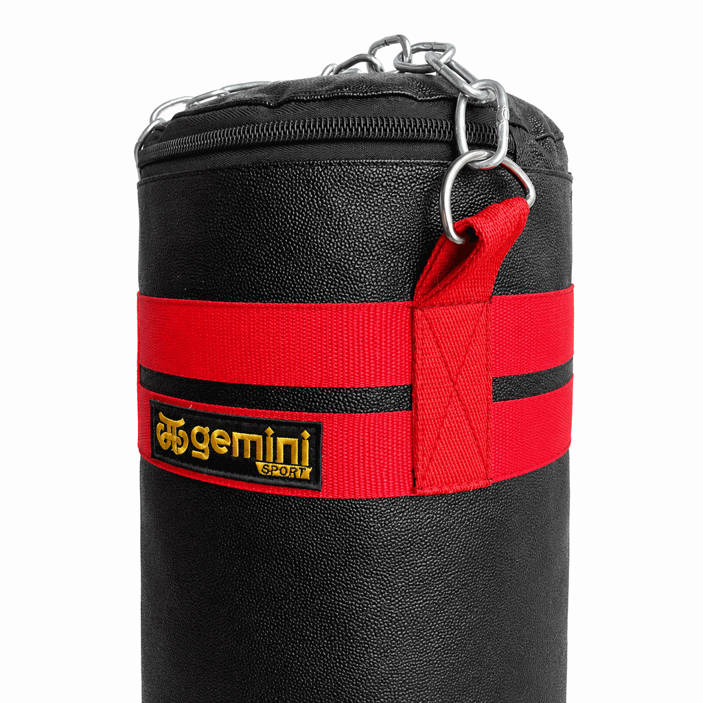 Gemini Sport variant image