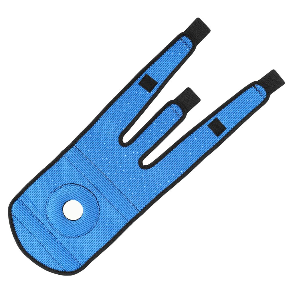 Gemini Sport variant image