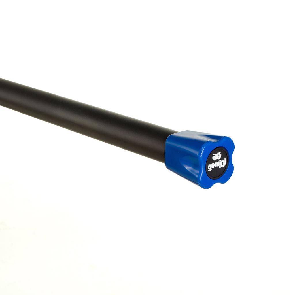 Gemini Sport variant image