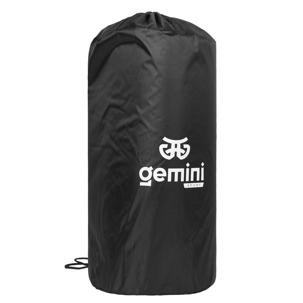 Gemini Sport variant image