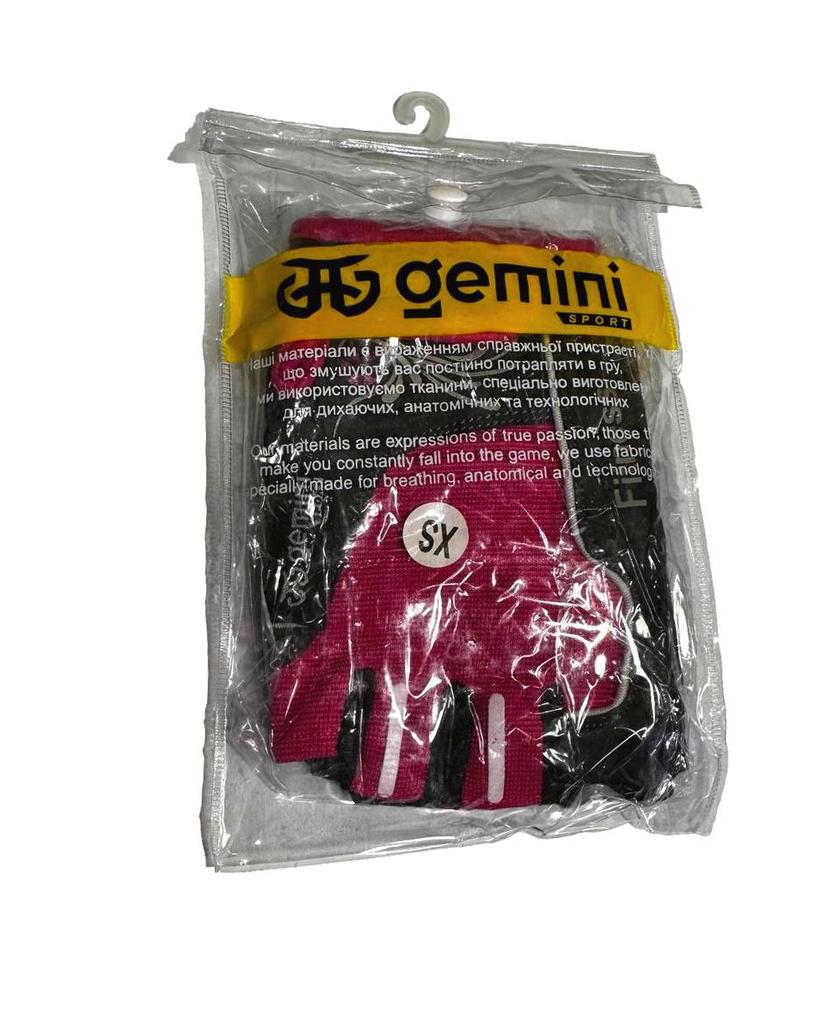 Gemini Sport variant image