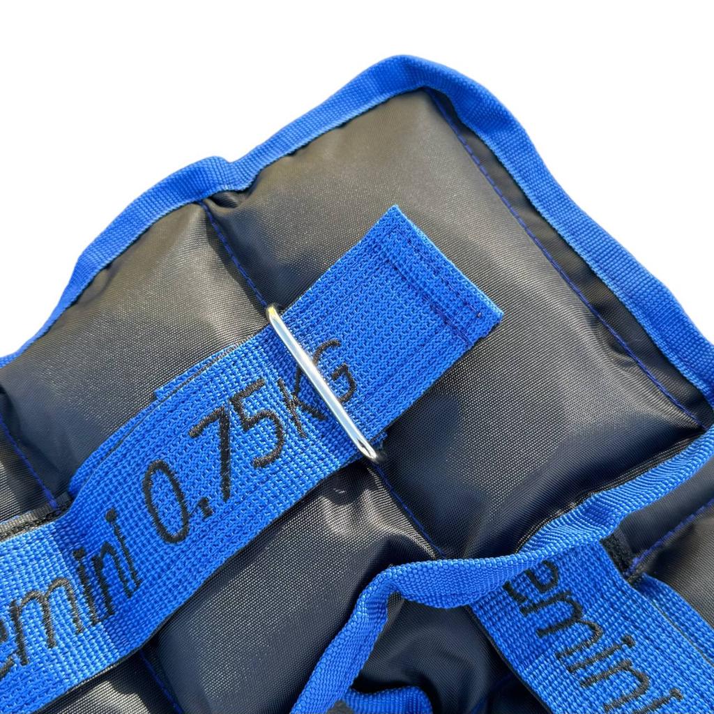 Gemini Sport variant image