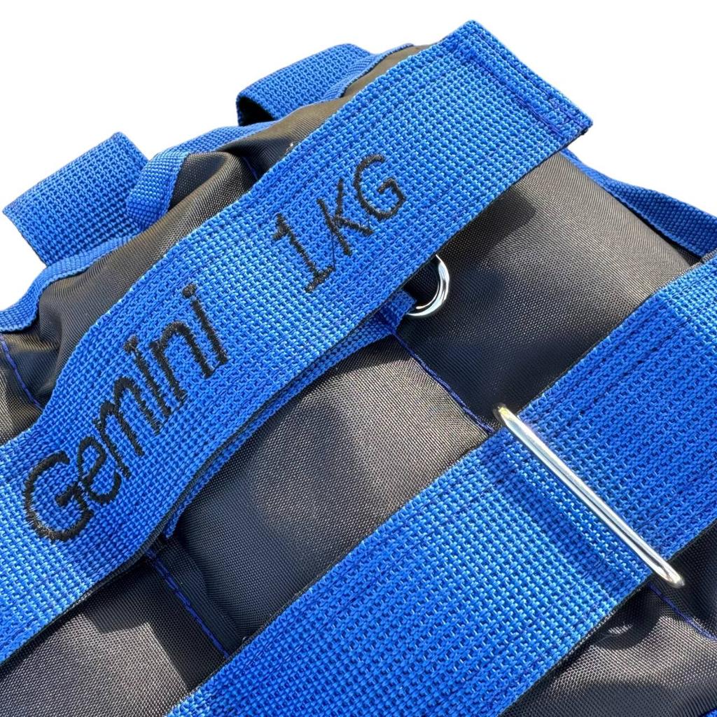 Gemini Sport variant image