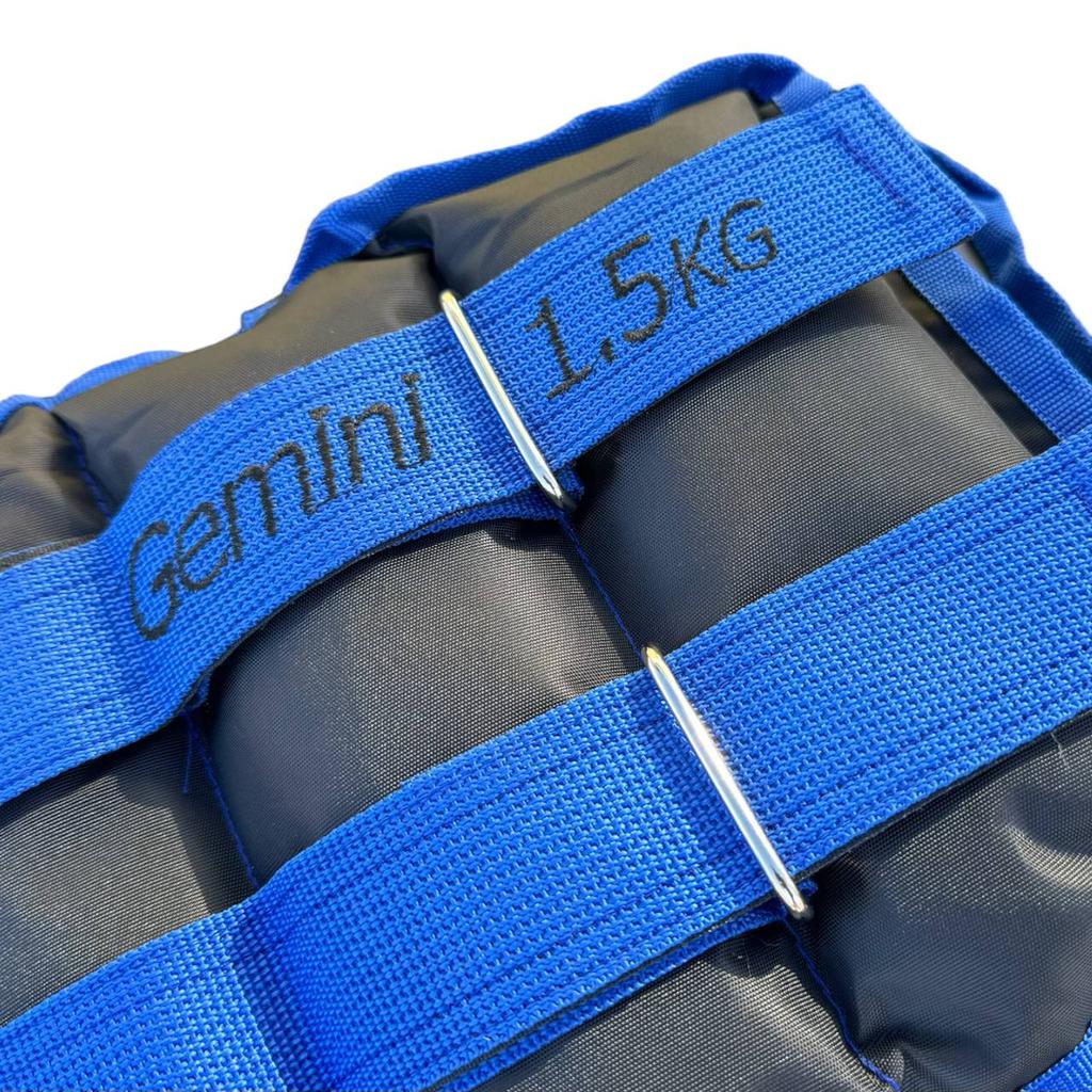 Gemini Sport variant image