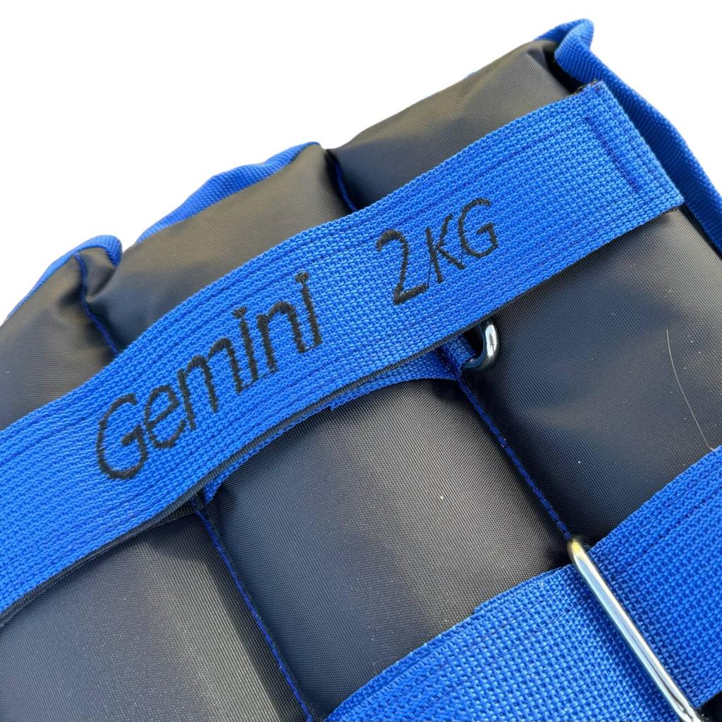 Gemini Sport variant image