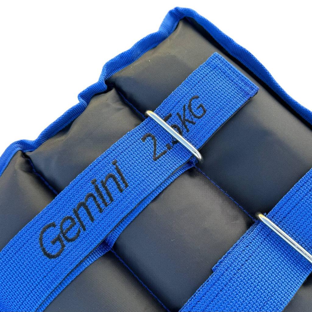 Gemini Sport variant image