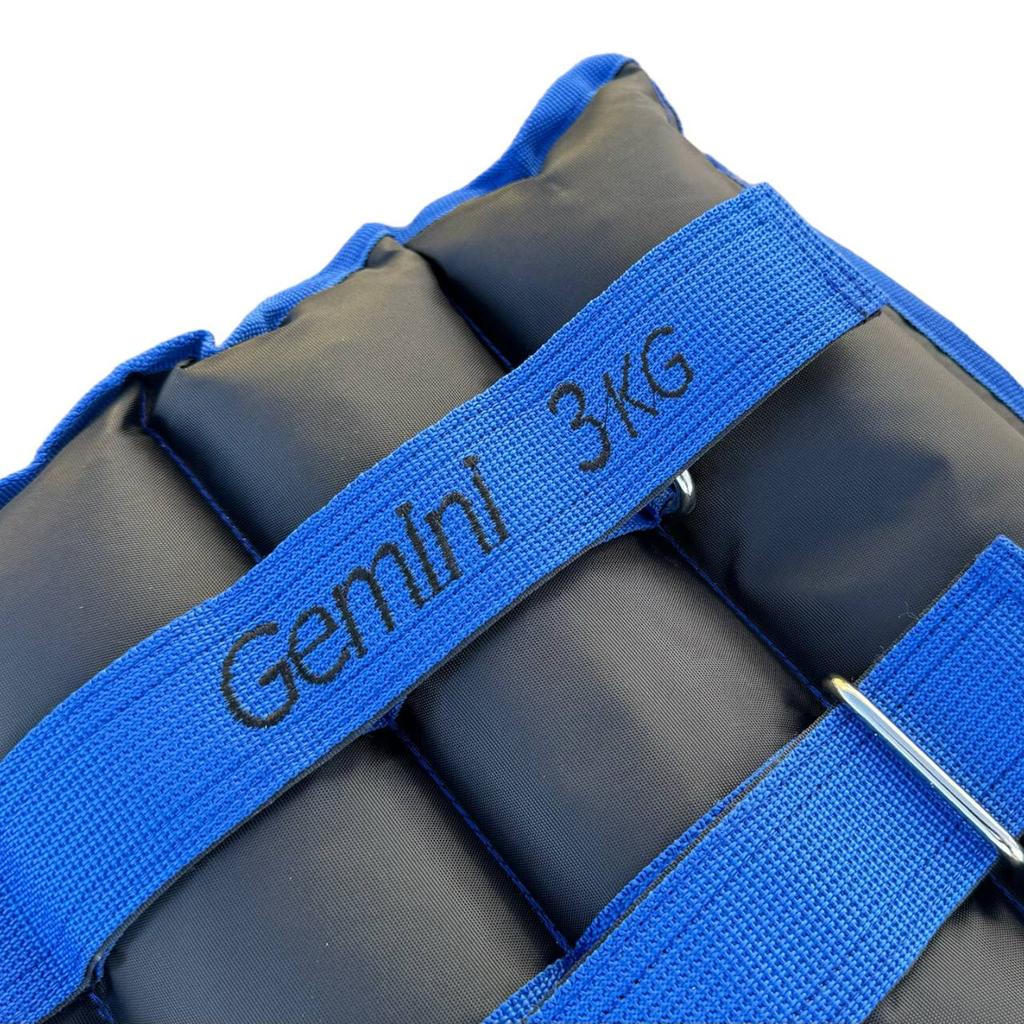Gemini Sport variant image