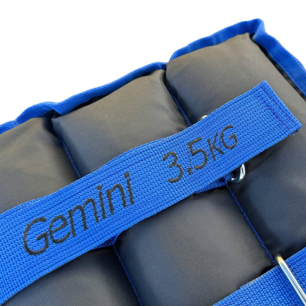 Gemini Sport variant image