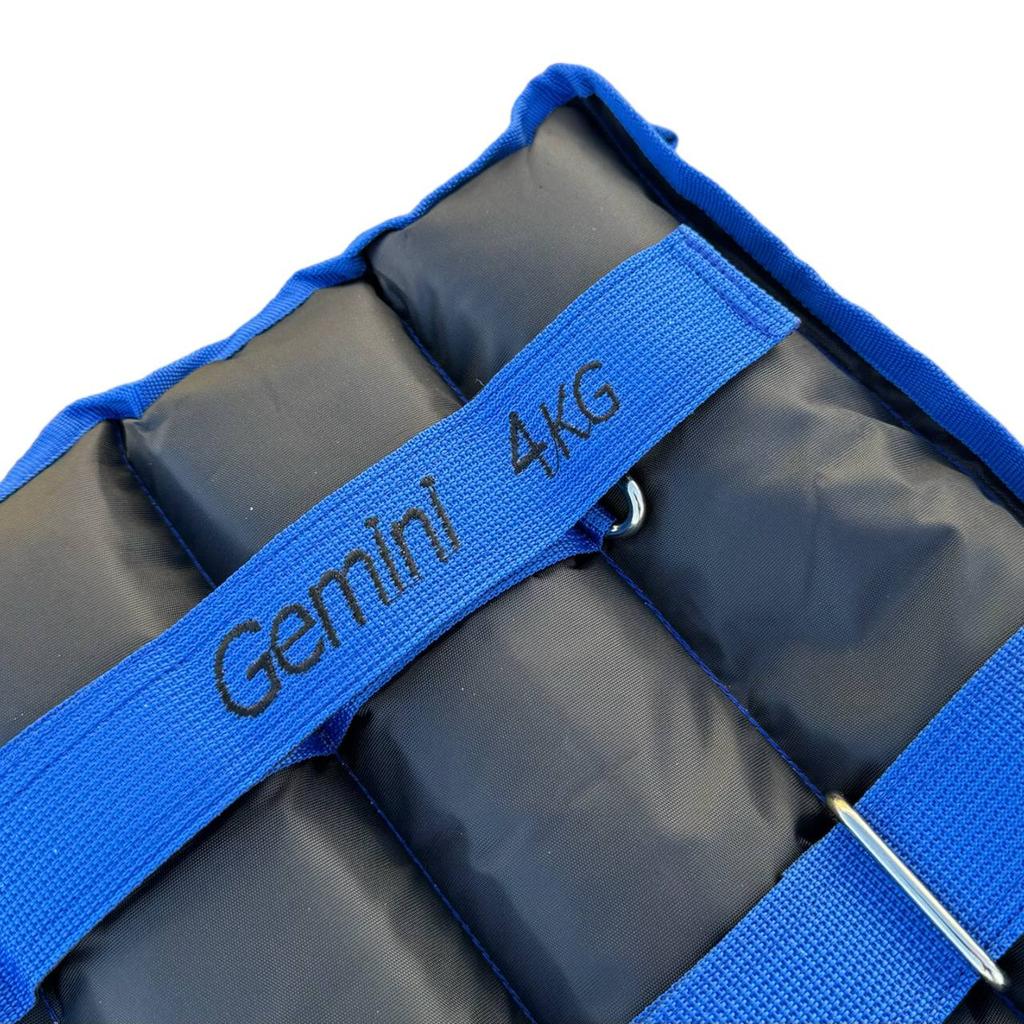 Gemini Sport variant image