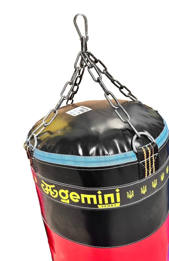 Gemini Sport variant image