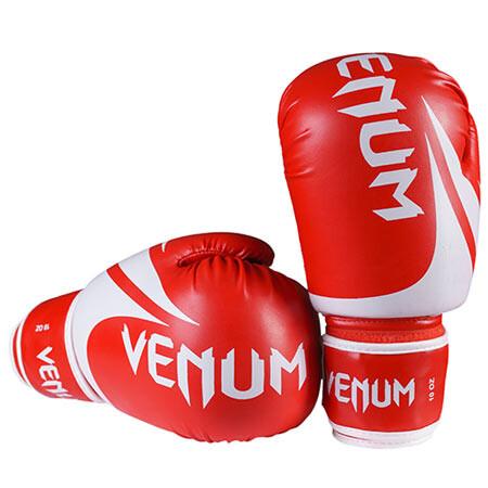Gemini Sport variant image