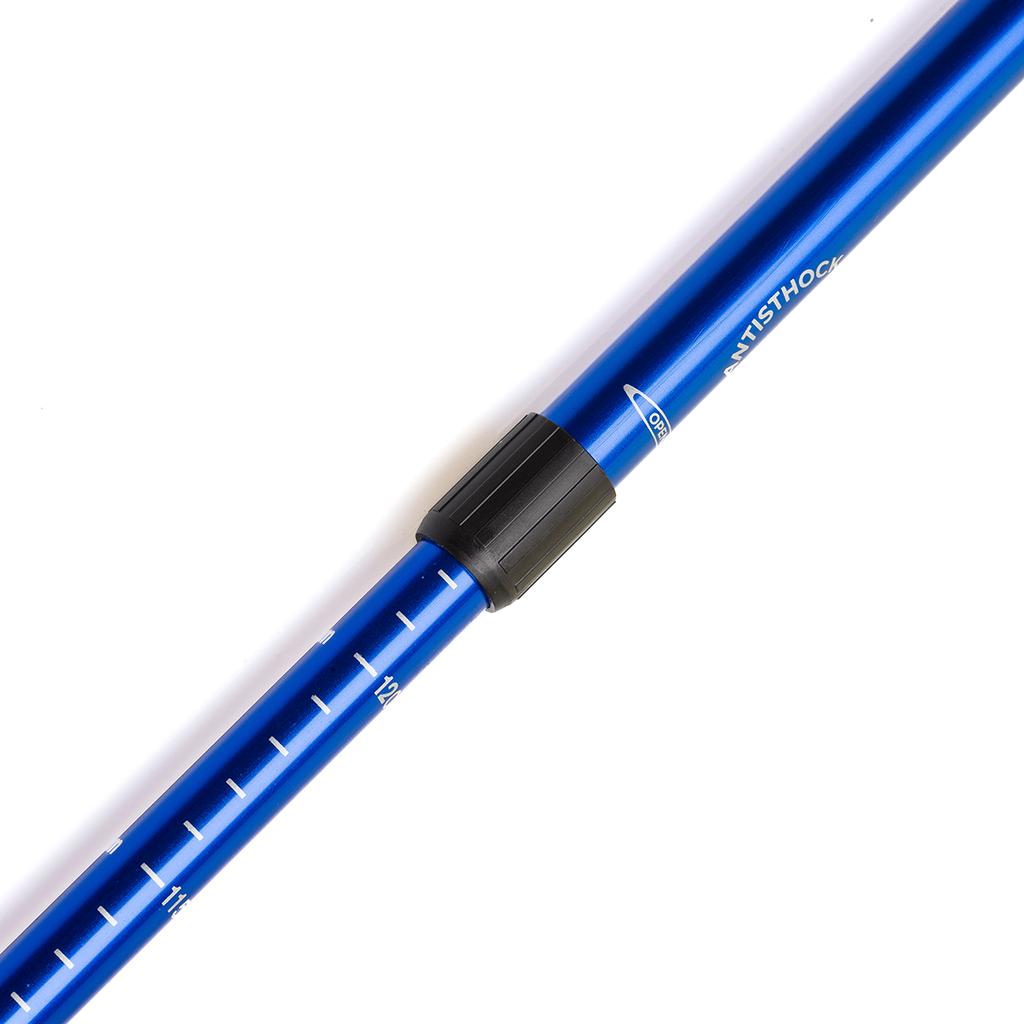 Gemini Sport variant image