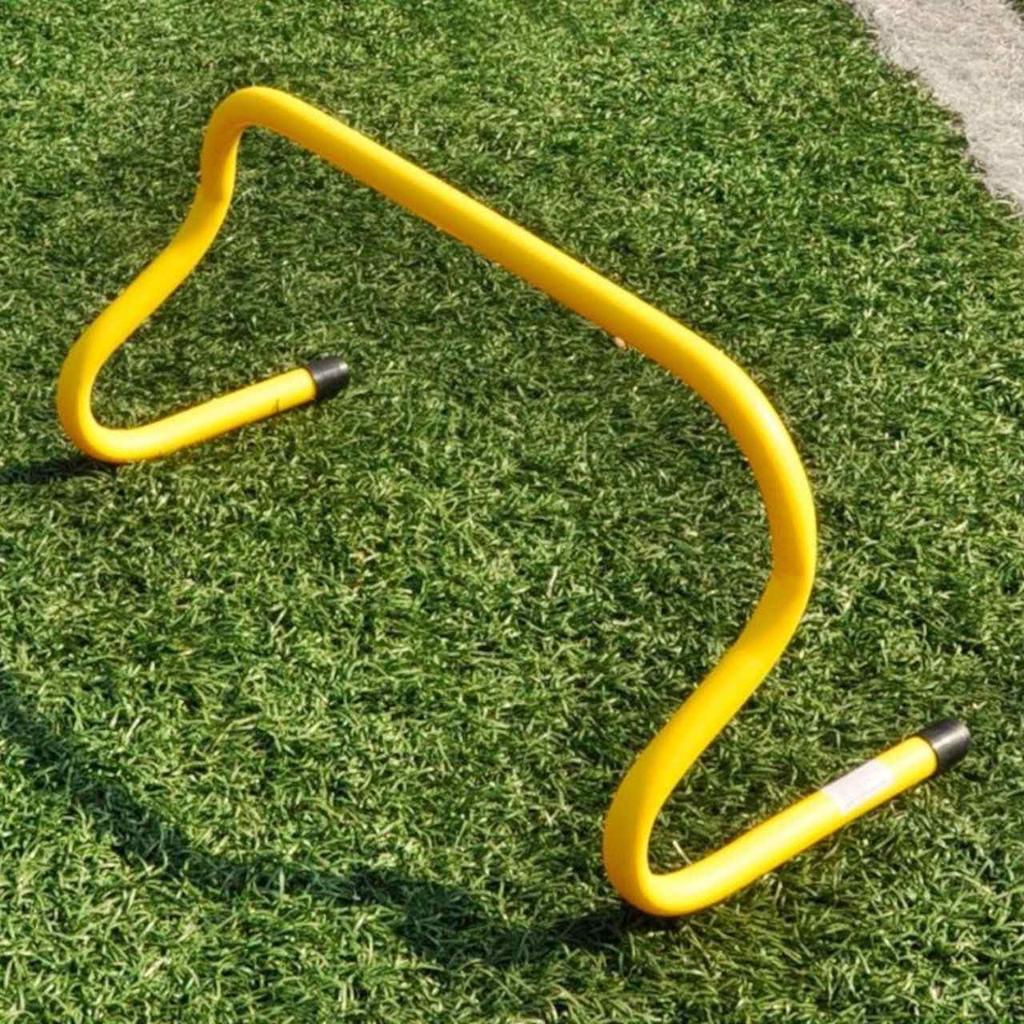 Gemini Sport variant image