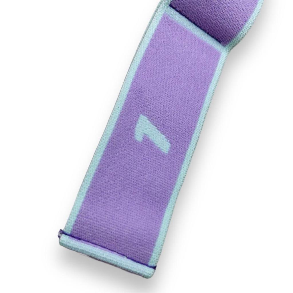 Gemini Sport variant image