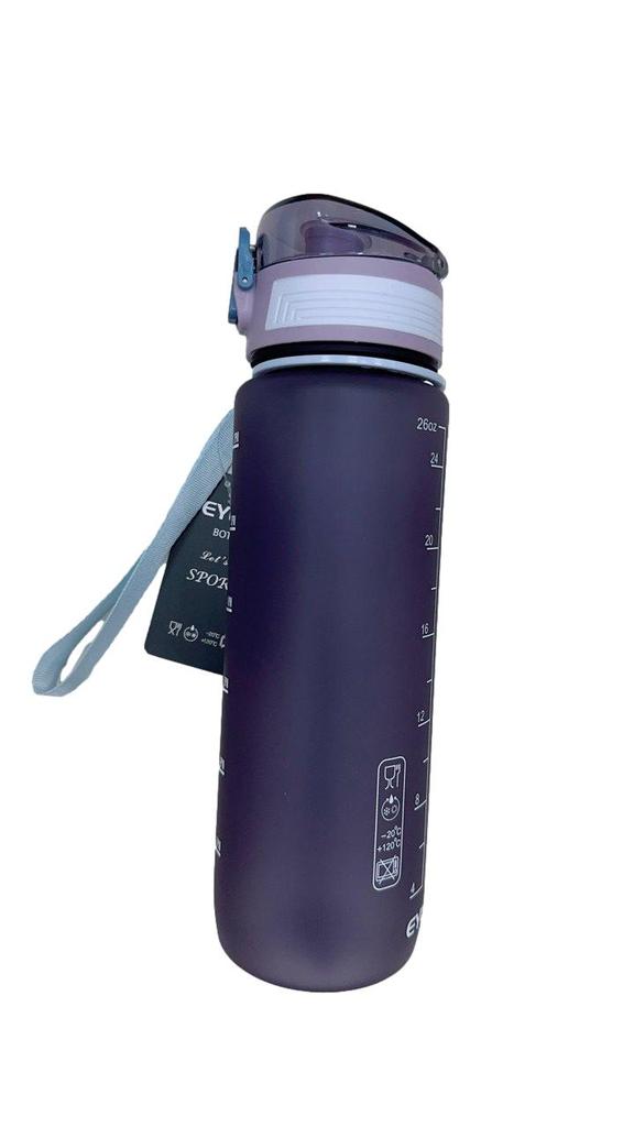 Gemini Sport variant image