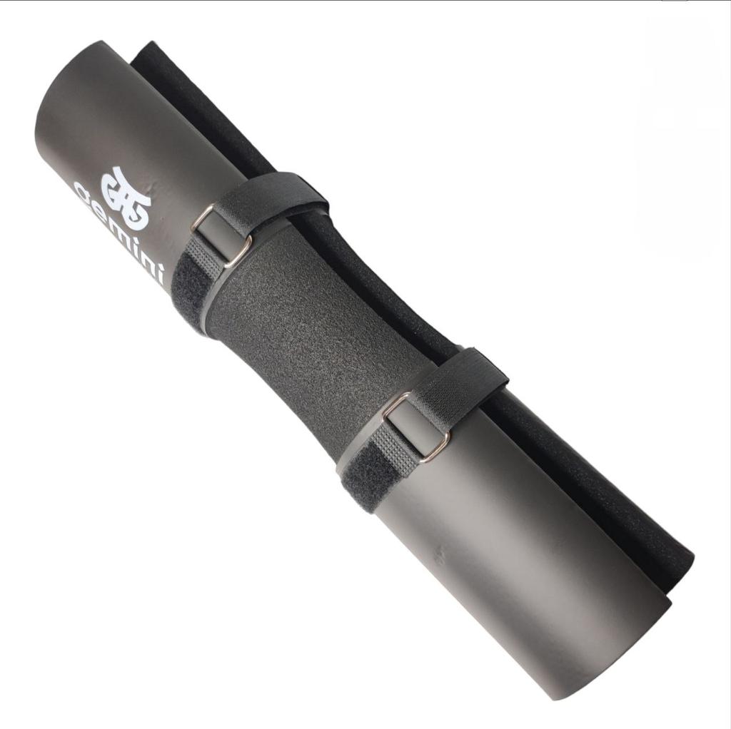 Gemini Sport variant image