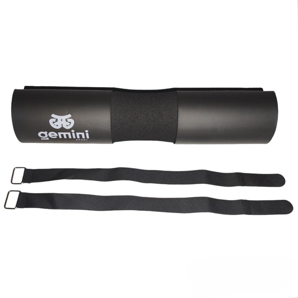 Gemini Sport variant image