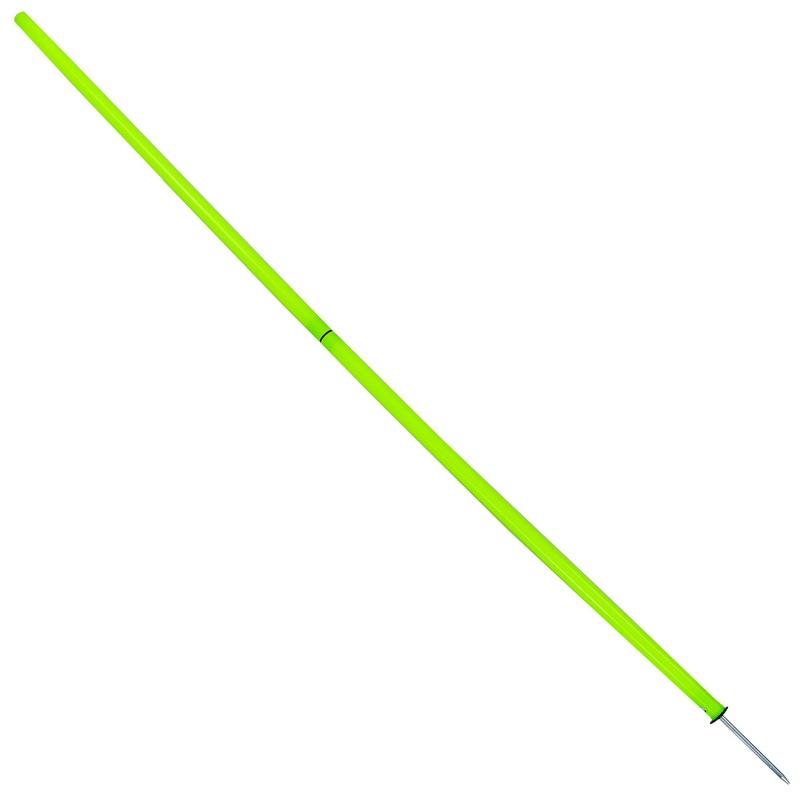 Gemini Sport variant image